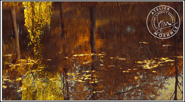 autumnpond5